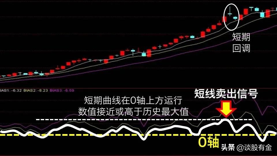 同比增长3% 今年前7个月我国与上合组织其他成员国货物贸易创新高