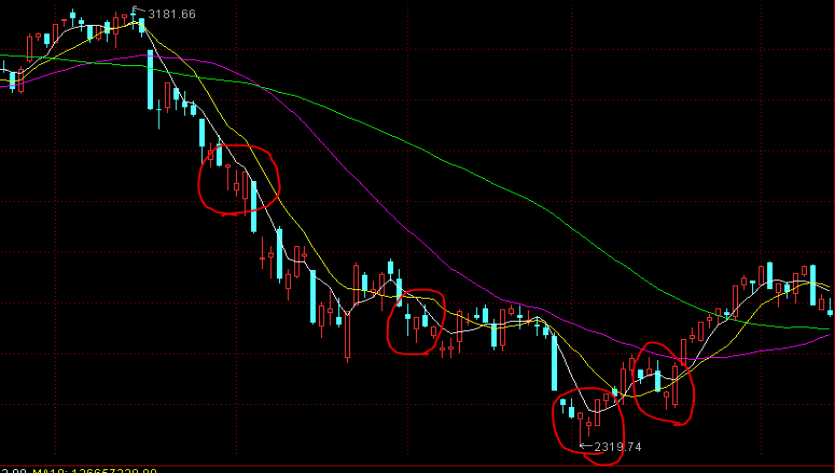 进博开幕首日,市场监管服务保障再升级!